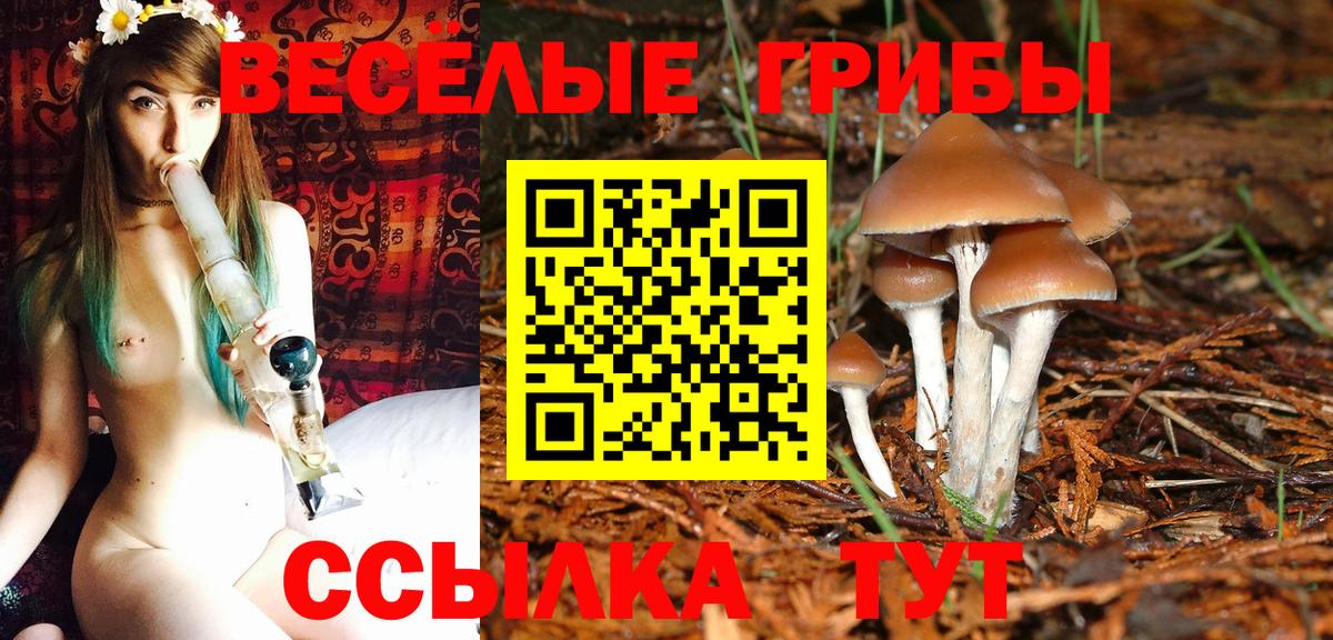 даркнет сайт  Псилоцибиновые грибы мухоморы  Вход с VPN  Лянтор 